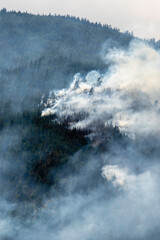 Nohomin Creek Forest Fire