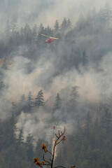 Nohomin Creek Forest Fire