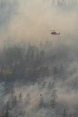 Nohomin Creek Forest Fire