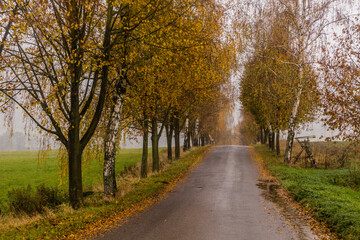 Fototapeta na wymiar Autumn view of a country road in the Czech Republic