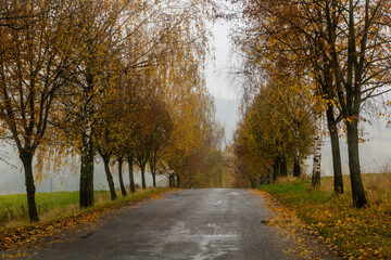 Autumn view of a country road in the Czech Republic