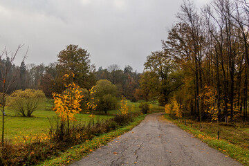 Naklejka premium Autumn view of a country road in the Czech Republic