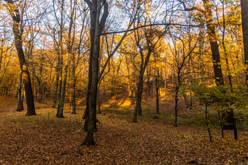 Fototapeta na wymiar Autumn view of Kunraticky forest in Prague, Czech Republic