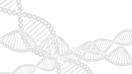 Science Molecular Clear DNA Model Structure under white lighting background. 3D illustration. 3D CG. 3D high quality rendering. PNG file format.