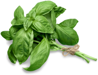 Fresh basil