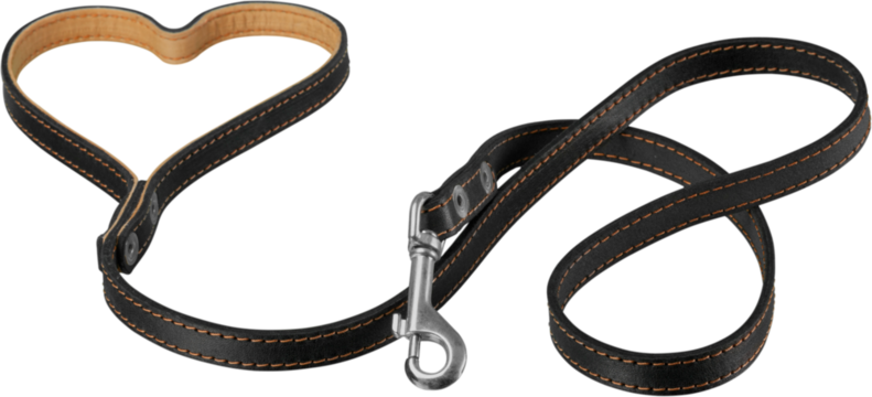 Dog Collar with Leash Isolated
