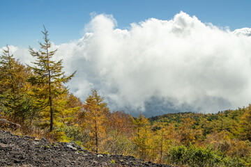 雲海と秋の気配
