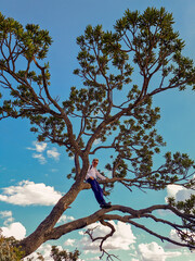 Adult white-haired man high up in a tree
