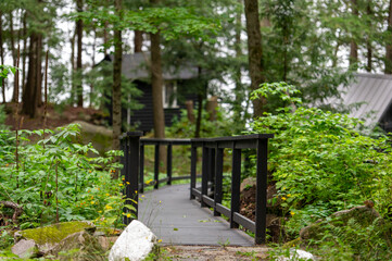 Cottage country, wooden walkboard path. Cottages nestled between green trees are visible