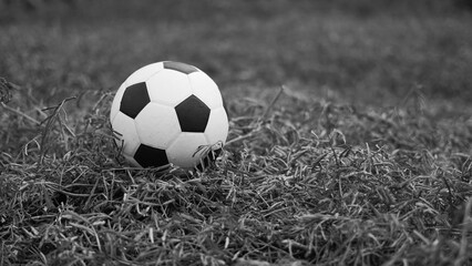 Balls on the grass​ Black & White