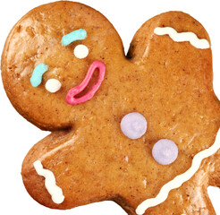 Gingerbread Christmas Cookie isolated on white background