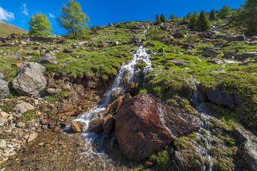 River stream in the mountains, Stelvio national park at clear sky, Italian alps