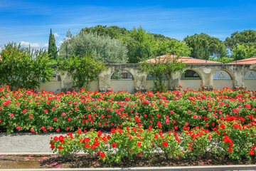 Idyllic public park with roses at springtime in Lazise, Lake Garda, Italy