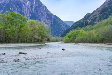 Fototapeta premium 新緑に囲まれた梓川の情景＠上高地、長野