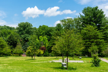 A peaceful spot with benches in the Meadowlark Botanical Gardens on a summer afternoon under a beautiful blue sky.
