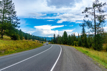Obraz premium Winding asphalt road through the forest in the Altai mountains