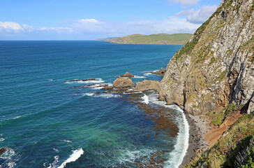 Fototapeta premium Roaring Bay - Nugget Point - New Zealand