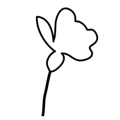Outline Simple Flower. Floral Illustration. Hand drawn continuous line wild elegant herb. Modern botanical rustic greenery.