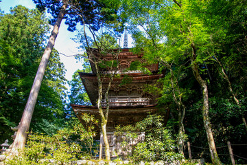 両界山横蔵寺