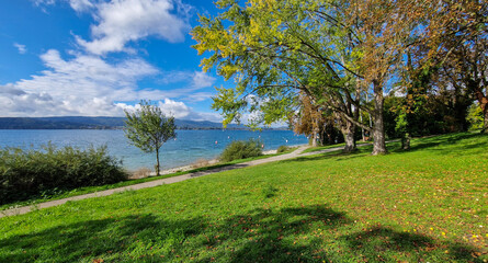 Herbst am schönen Bodensee blauer Himmel Sonnenschein 