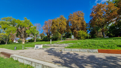 Herbst am schönen Bodensee blauer Himmel Sonnenschein 