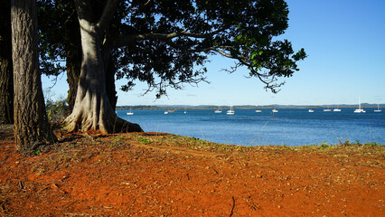 View past trees on the red soil shore to boats on the blue waters of Moreton Bay, with Macleay and Stradbroke Islands on the horizon. Redland Bay, Queensland, Australia 