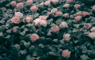 Beautiful Artificial Flowers Background, Vintage style;