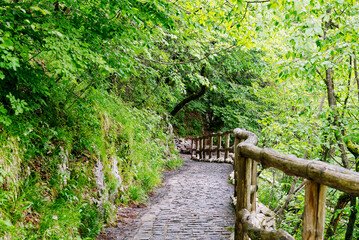 Lakes of The Plitvice Lakes National Park in Croatia. Beautiful nacional parkland landscapes