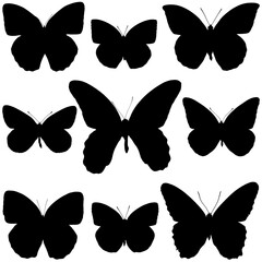 Collection of colored butterflies