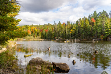 Title: lake view near Algonquin National Park during Fall of 2022