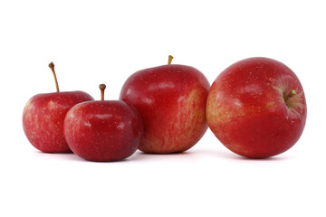 Red apples of different sizes on white background