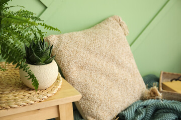 Fototapeta na wymiar Small houseplant on table near green wall, closeup