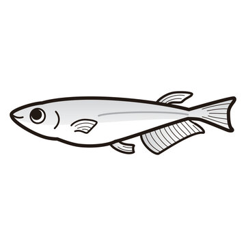 recommend clip art: シンプルなメダカのイラスト（白黒）