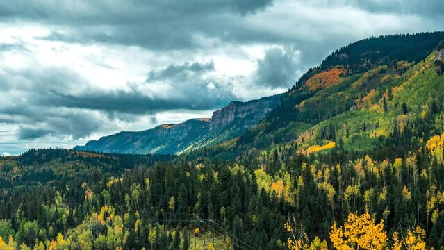 Forest with the mountains during fall 