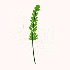 Vector doodle green branch of tea. Isolated green leaves sticker on white