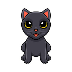 Cute bombay cat cartoon sitting