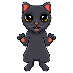Cute bombay cat cartoon standing
