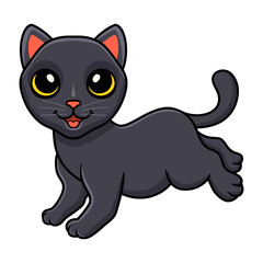 Cute bombay cat cartoon posing