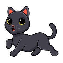 Cute bombay cat cartoon posing