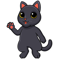 Cute bombay cat cartoon waving hand