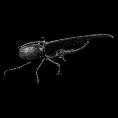 Hercules Beetle hand drawing. Vector illustration isolated on black background.
