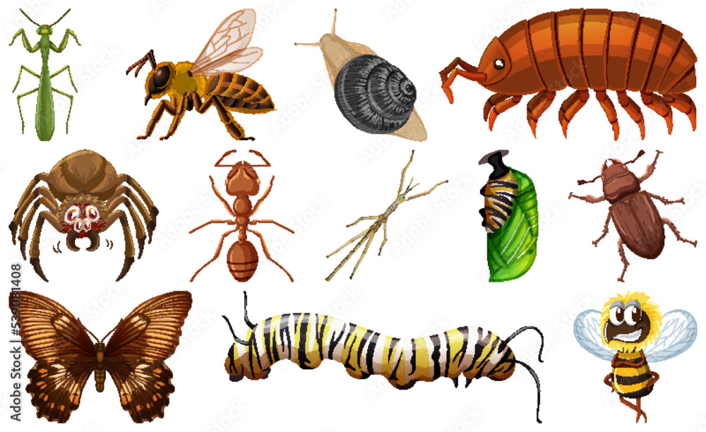 Canvas Prints different kinds of insects collection