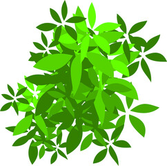 green bush element