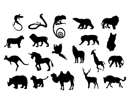 Set of black silhouette wild forest steppe animals. Vector illustration isolated on white, side view profile. Collection woodland animals.