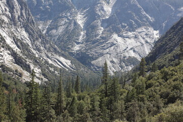 Fototapeta na wymiar View of Kings Canyon, looking from Mist Falls trail
