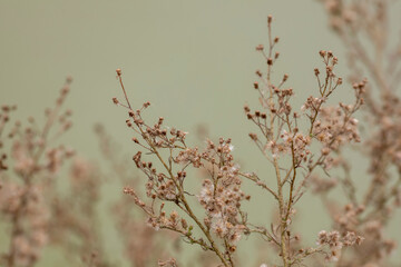 Autumn colors still life