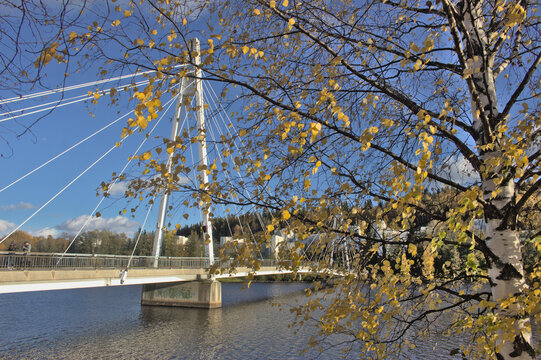 Ylist&ouml; bridge (Ylist&ouml;n silta) thorugh autumn branches