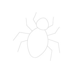 Obraz premium Spider linear vector isolated on white background. Halloween illustration.