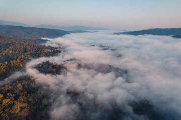 Morning fog and clouds in the hill forest