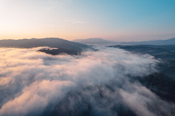 Morning fog and clouds in the hill forest